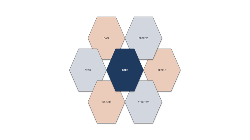 native/hexagon-grid/consulting-corporate